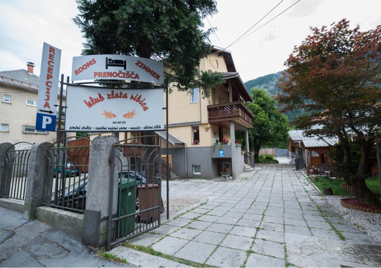 Klub Zlata Ribica Jesenice Exterior foto